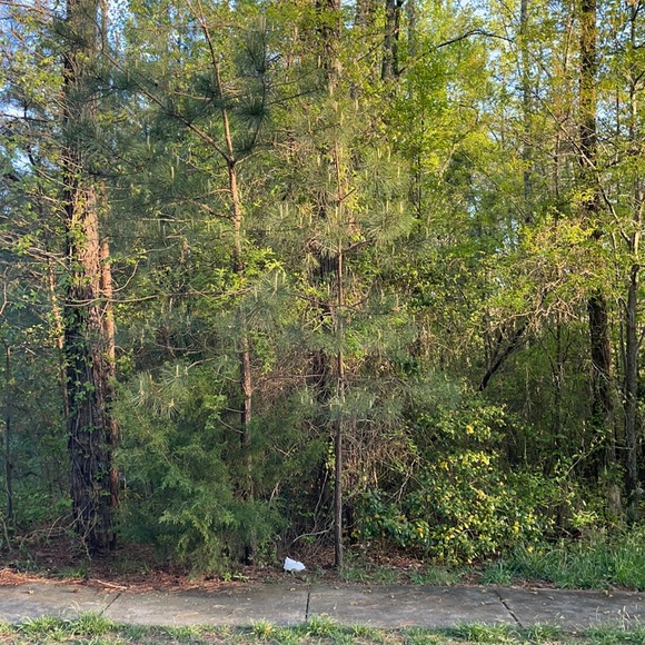 Sold - Picture 1 of 1